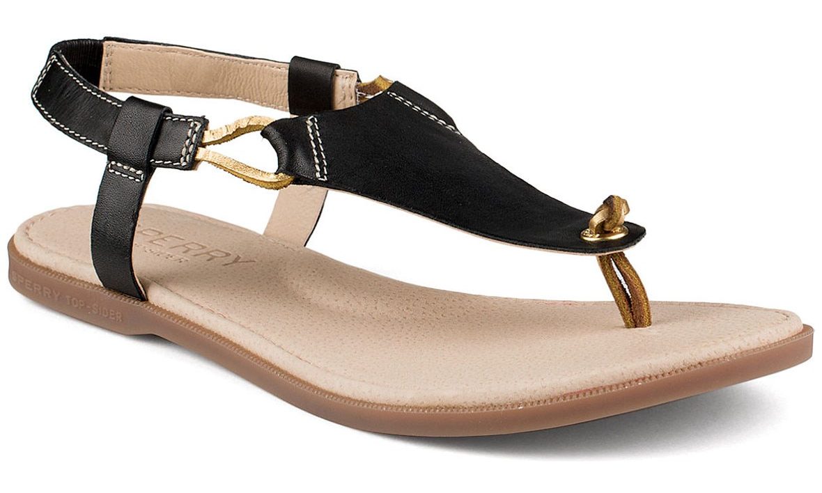 sperry wiki