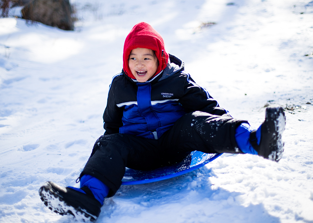 Family Day activities: sledding