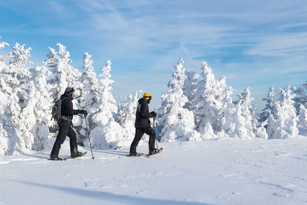 Top 8 Trails for Snowshoeing in Canada - SportingLife Blog