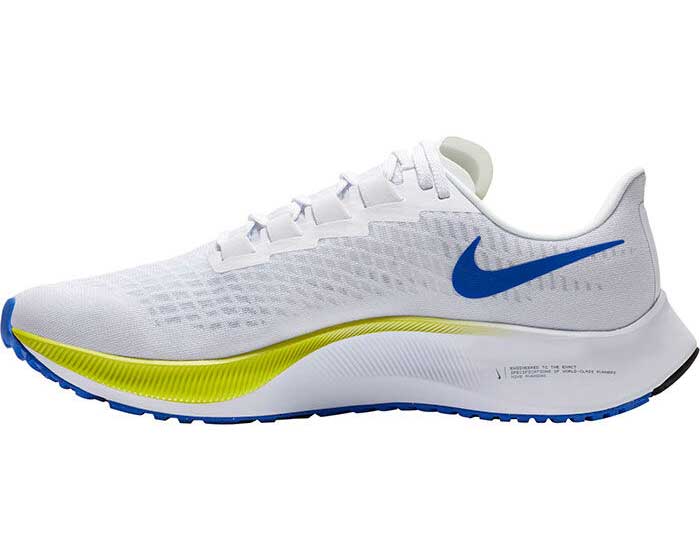 sporting life nike pegasus